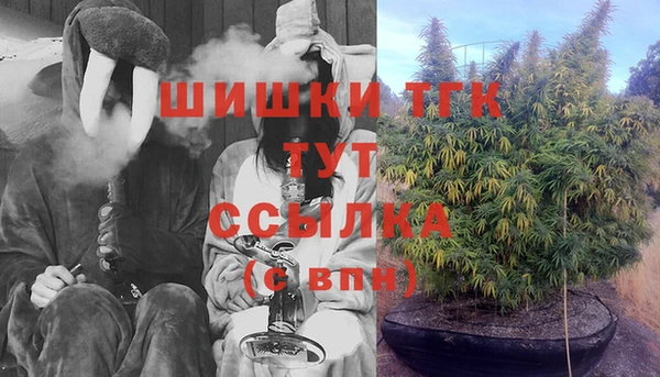 PSILOCYBIN Бугульма